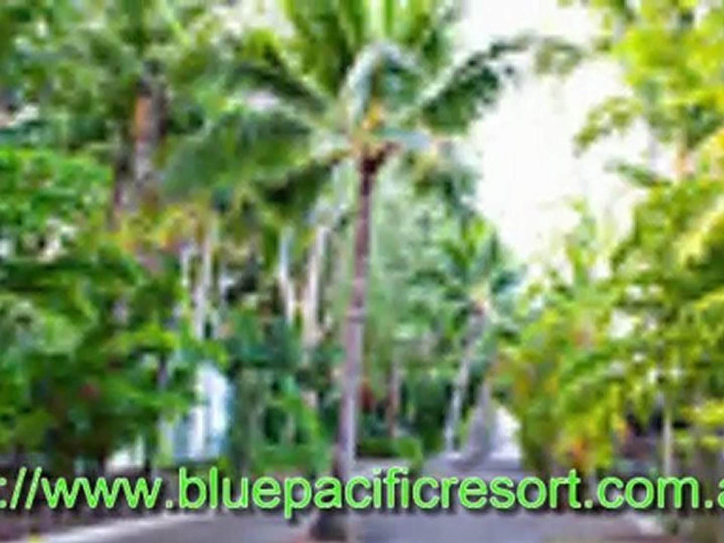 ⁣Mackay accommodation tips: Holiday tips