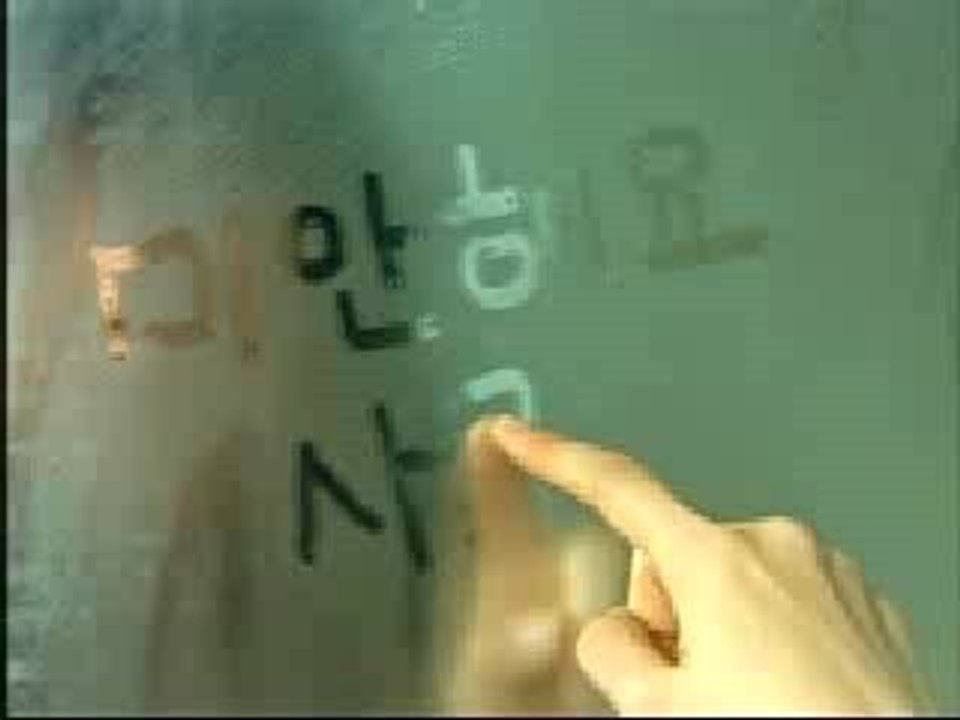 i'm sorry i love you