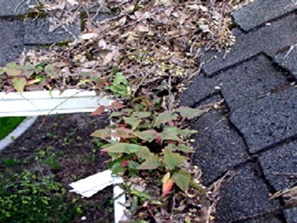 Window Cleaning Gutter Cleaning Power Washing Monmouth County