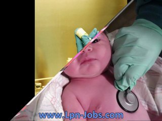 LPN Degree & Jobs Across All States 🩺