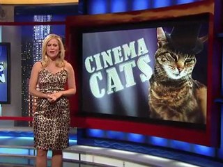 Hollywood's Top Ten - Cinema Cats