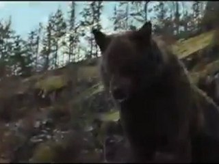 Trailer: The Twilight Saga: Breaking Dawn