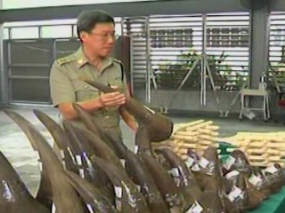 33 Rhino Horns Seized by Hong Kong Customs