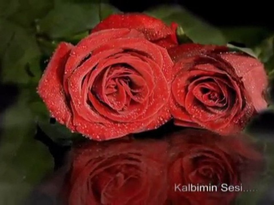 gel gör beni aşk neyledi