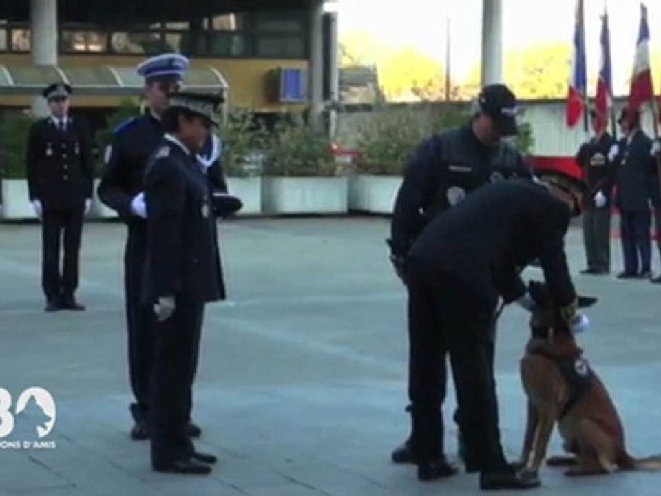 Un malinois récompensé par la République