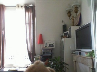 Wiwi muppetshowise "romance for Clara"