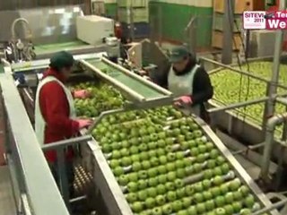 [Sitevi Terre-net Web TV 2011] Visite de la nouvelle station de conditionnement de Cofruidoc