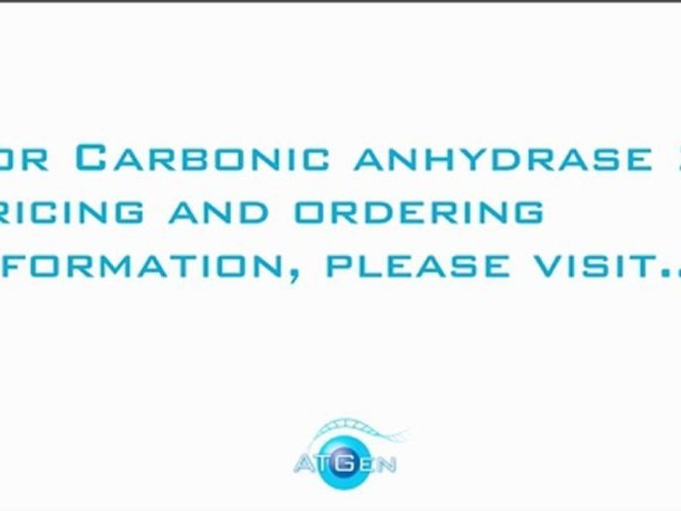 Carbonic Anhydrase 2 Recombinant Protein