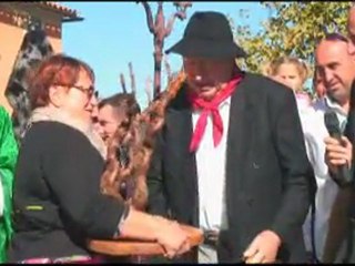 Fête de la vigne