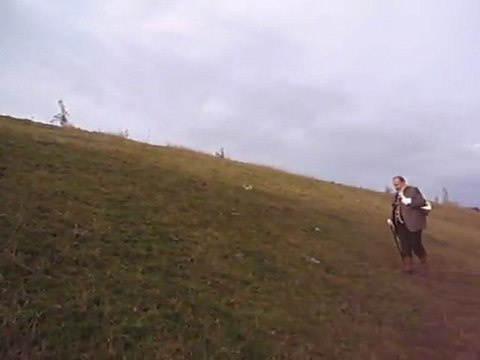 Quête des chiens de vénerie de lièvre, dans le Gers