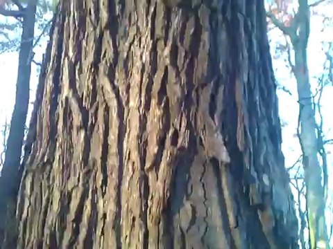 Filmik nakręcony przez HTC 7 Mozart