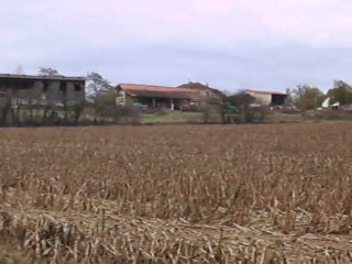 Cris de volatiles de bouche couvrant les récris de chien courants, dans le Gers