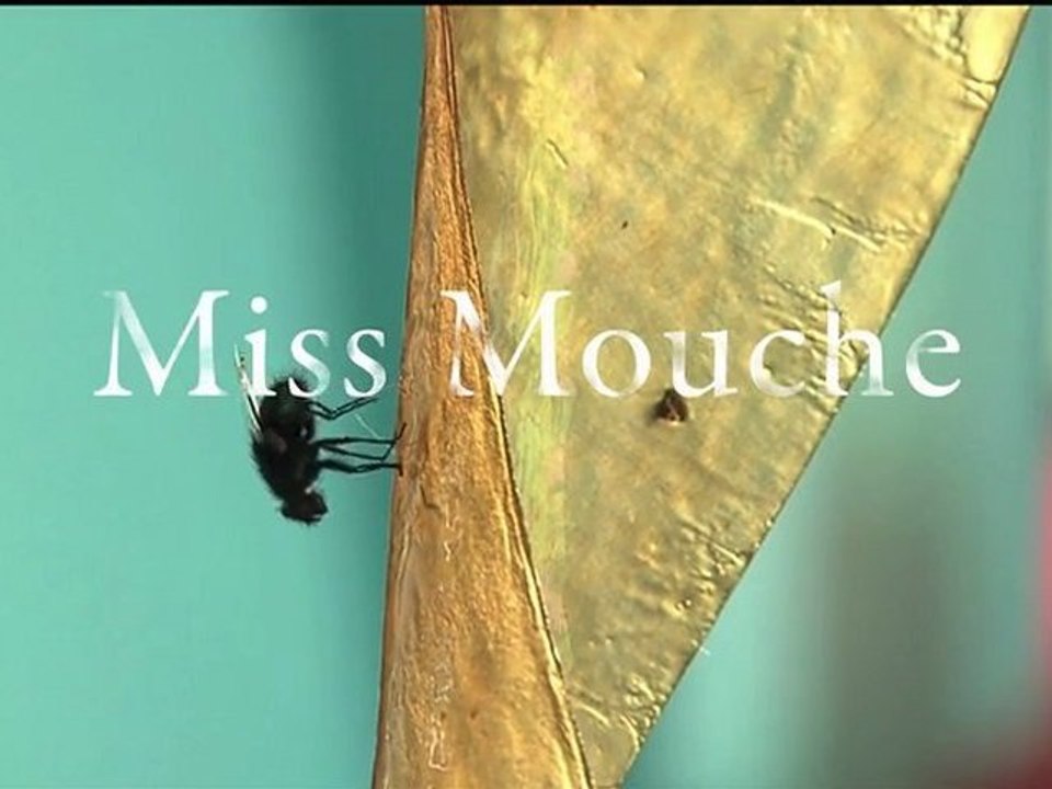Miss Mouche Bande-Annonce (VO/F st ANG)