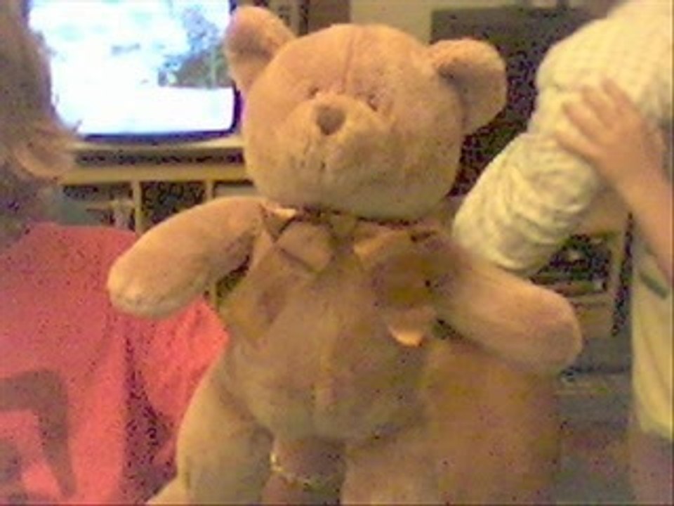 nounours boxing s