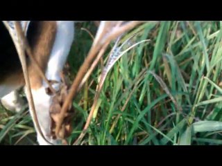 Zadanie od Pana Pawła Soczyńskiego v.2