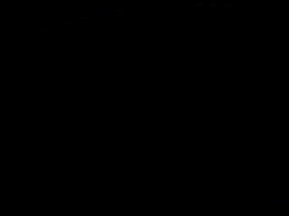 Epicentre Journée Scientifique 2011 - Francisco LUQUERO