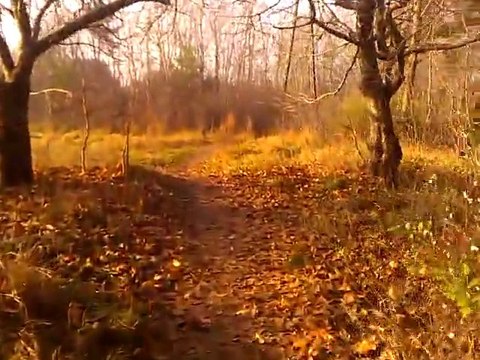 Zadanie od Paweł Soczyński