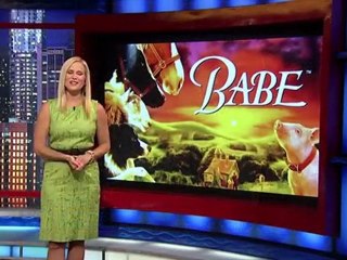 Hollywood's Top Ten - Live Action Animal Movies