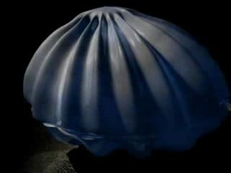 Die Mupfel short animation