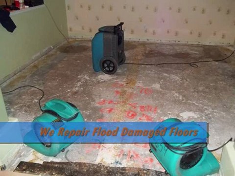 Water Damage Murrieta, Water Damage Temecula, Mold Removal Murrieta, Mold Removal Temecula, Flood Damage Murrieta, Flood Damage Temecula, Water Damage Menifee, Flood Damage Menifee, Mold Removal Menifee