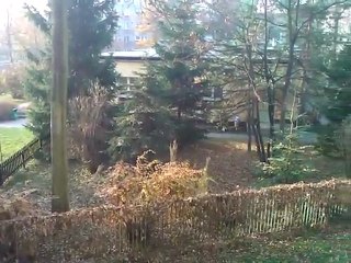 Okiem Mozarta_moja okolica