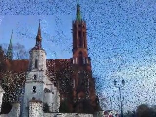 Jarocki Robert- Moja Okolica