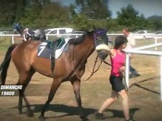 BA - Corse hippique - Equidia Live
