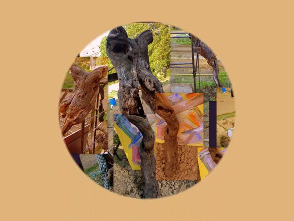 ce retour au calme des couleurs entre ciel et terre ce contraste des saisons et des couleurs