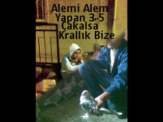 Ahmet kaya adı yılmaz