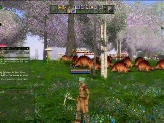 Ryzom [MMORPG TEST]