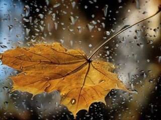 BENİ HİÇ ANLAMADIN