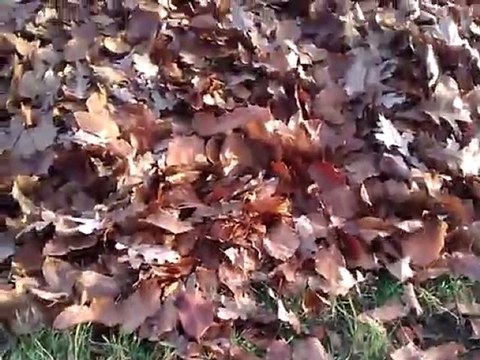 zadanie od Paweł Soczyński