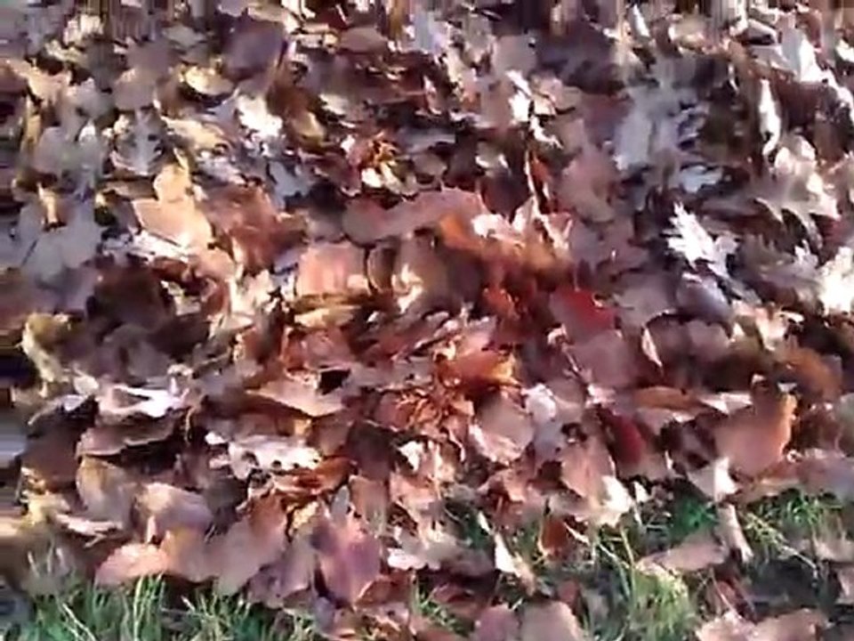 zadanie od Paweł Soczyński