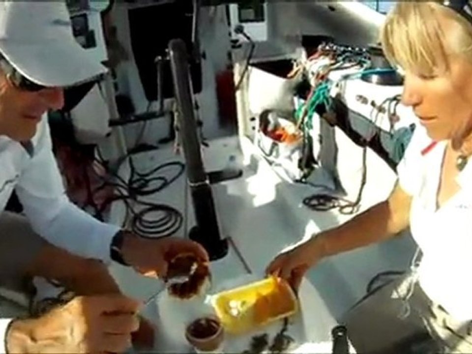 J+15 Des milles et une nuit !