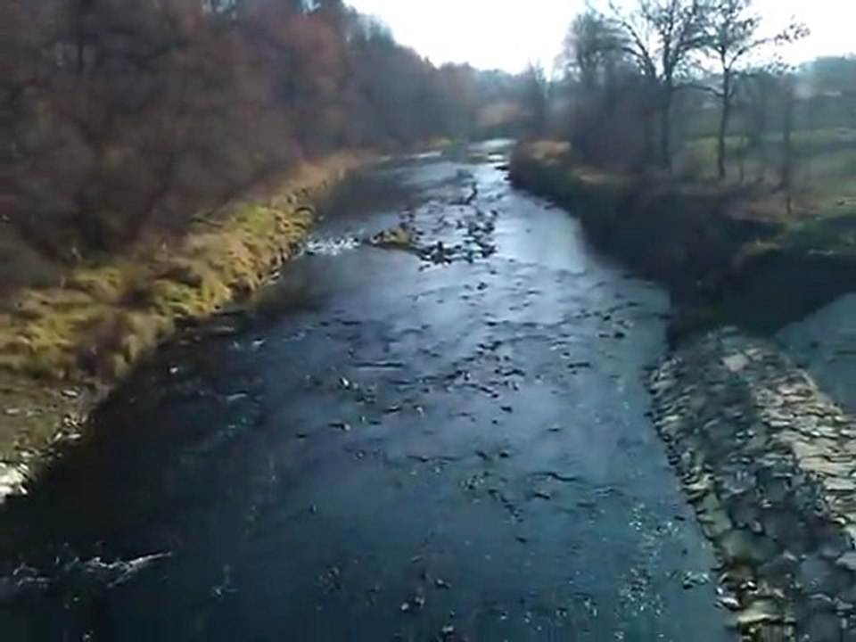 Wisłok