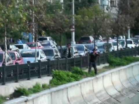 Incroyable : des dauphins filmés en Roumanie !