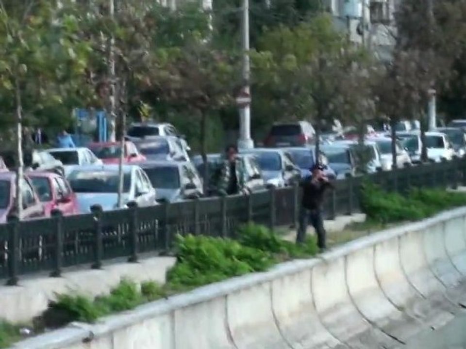 Incroyable : des dauphins filmés en Roumanie !