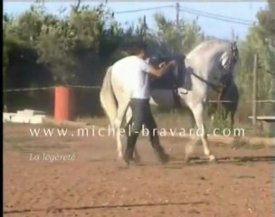 equitation