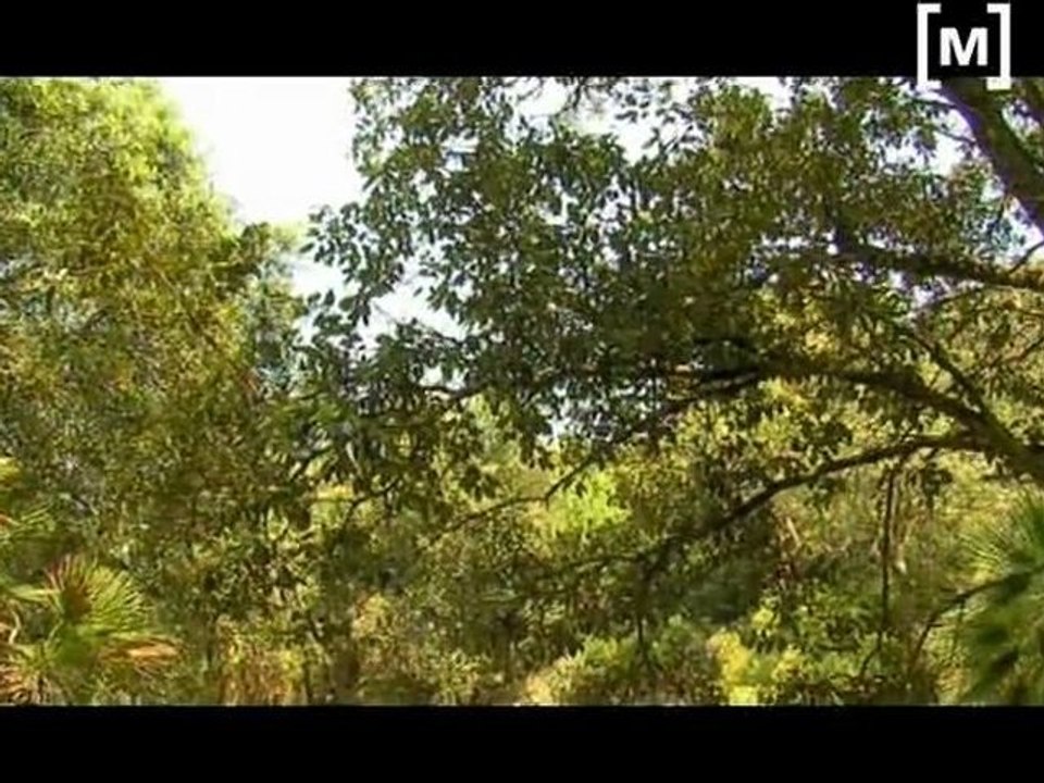 Mallorca fita a fita