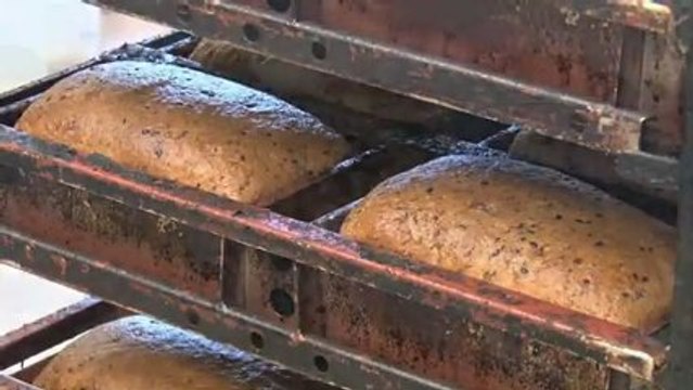 Filmproduksjon Ålesund Brisk Kompetansesenter AS