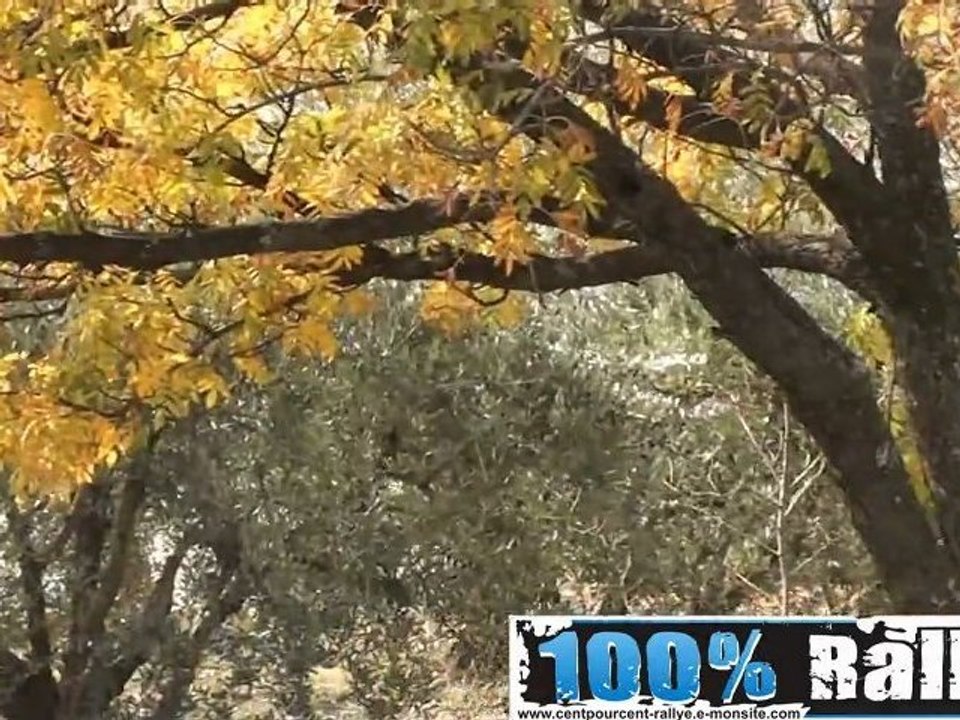 Rallyz terre de Vaucluse 2011