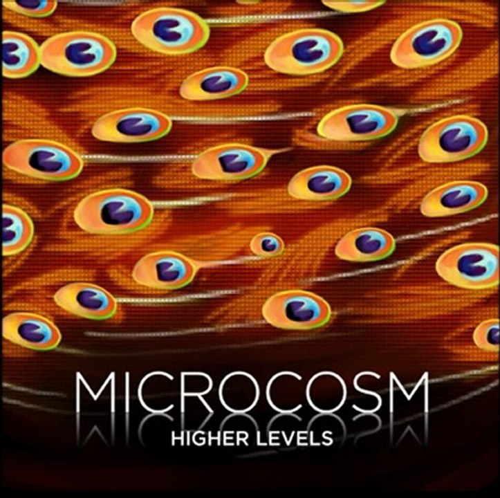 Microcosm - Eternal Circle