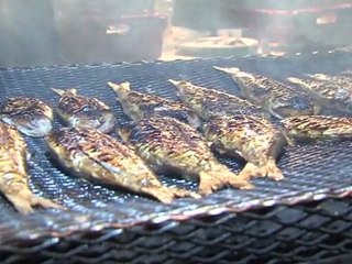 Opal'TV : Le JT - Edition du Jeudi 17 Novembre 2011