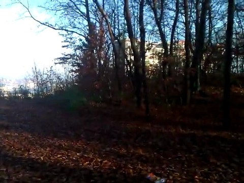 Oto jak piękna i ciekawa jest Moja najbliższa okolica.