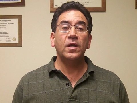 IRS Audit - Part 1: Income - Woodland Hills, CA | Lawrence Danny CPA, JD (818) 632-2053