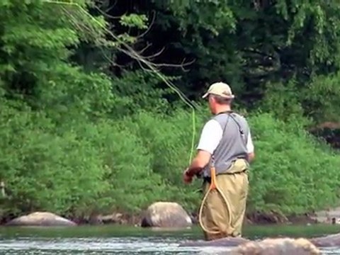 Rotorua Bed And Breakfast - Volcanic Scenic Flights