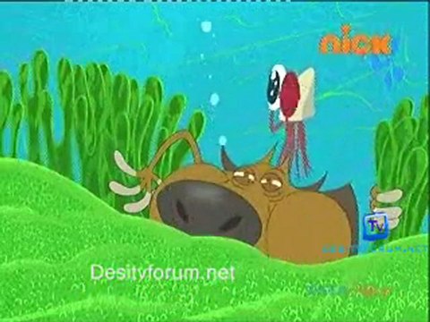 Zig and Sharko - 18th November 2011 Video Watch Online p2