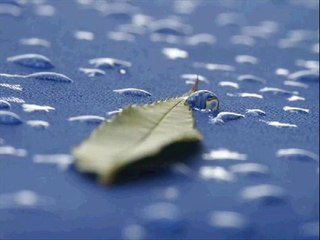 ELİF REYYA NAZ-HAMİT KARACA-MERYEM ASLAN     ÜŞÜYORUM