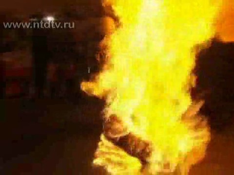 Книга Гиннеса пополнилась новыми рекордами