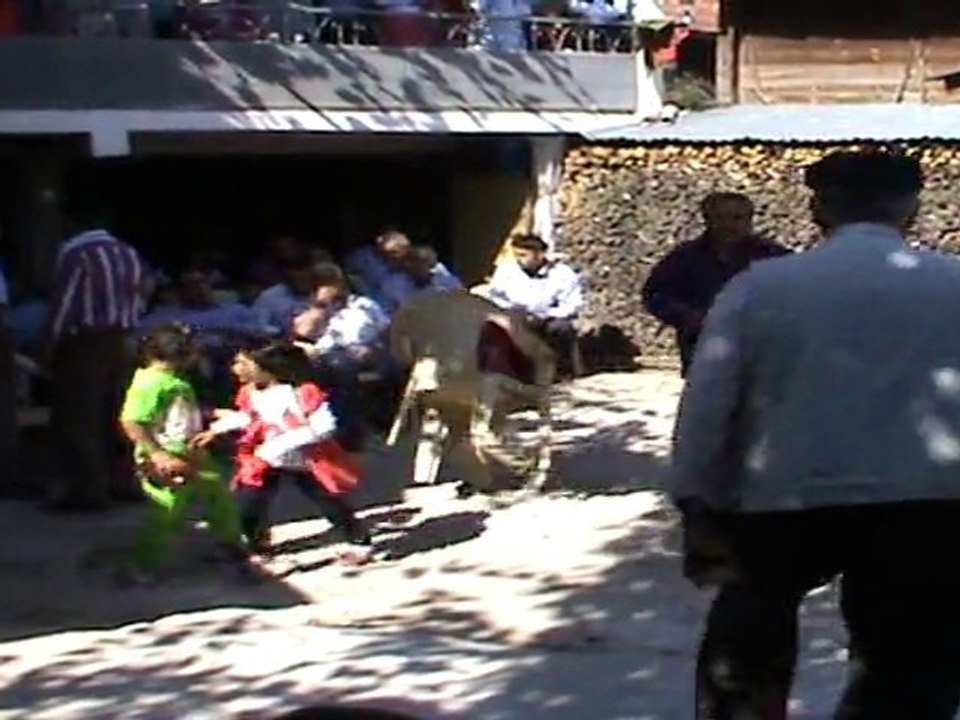 Avdan Köyü Burak ÖZDEMİR - Sünnet Düğünü